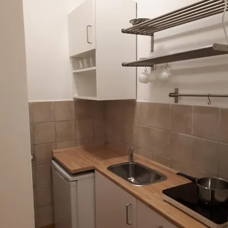 Appartamento Lovely Studio Under Buda Castle At Horvath Park